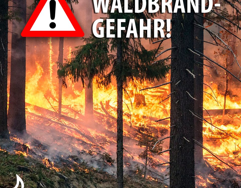 Waldbrandübung