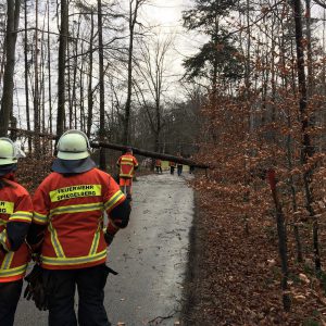 Sturmschaden Feuerwehr Spiegelberg