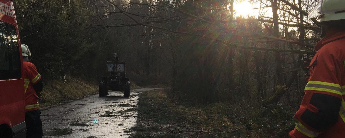 Sturmschaden Feuerwehr Spiegelberg