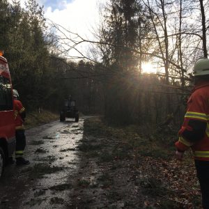 Sturmschaden Feuerwehr Spiegelberg