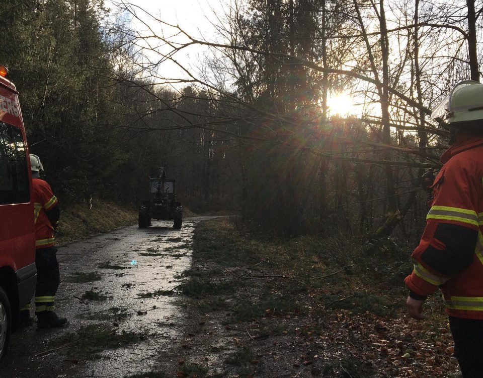 Sturmschaden Feuerwehr Spiegelberg