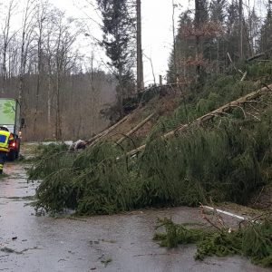 Sturmschaden Feuerwehr Spiegelberg