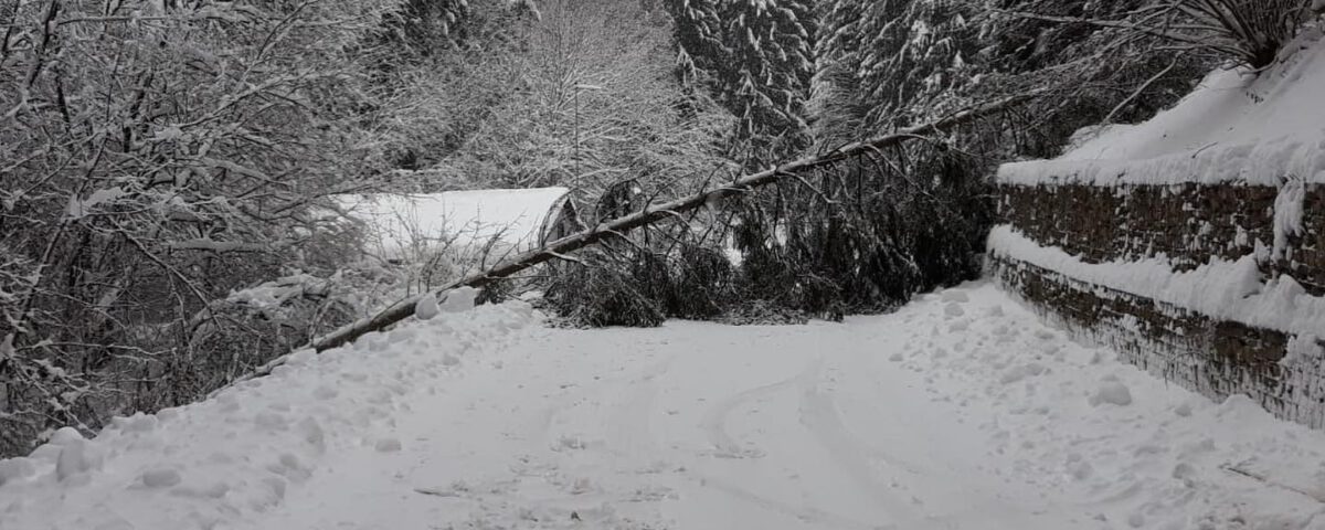 Feuerwehr Spiegelberg Schnee1