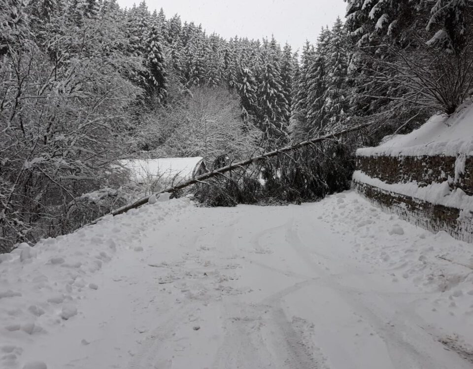 Feuerwehr Spiegelberg Schnee1