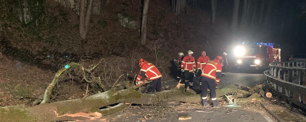 Feuerwehr Spiegelberg Baum umgestürtzt