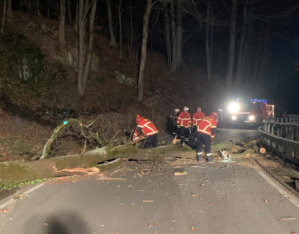 Feuerwehr Spiegelberg Baum umgestürtzt